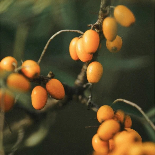 BiPhasic Make-up Remover 100ml