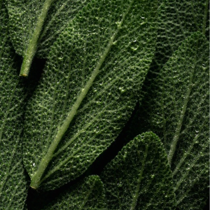 Microbiome Prebiotics Face Mist 100ml